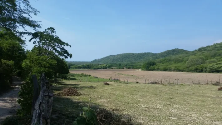 5 HECTÁREAS EN VENTA RANCHO PARAISO