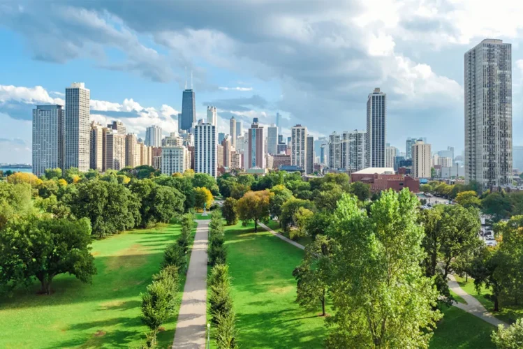 Image of a city skyline in the background, with a park in the foreground. The park is lush and green, with mature trees scattered throughout the grassy area. There are also walking paths winding through the trees. In the background, you can see a cluster of skyscrapers. The skyscrapers are a mix of different heights and architectural styles. The sky is a clear blue with a few wispy clouds.
