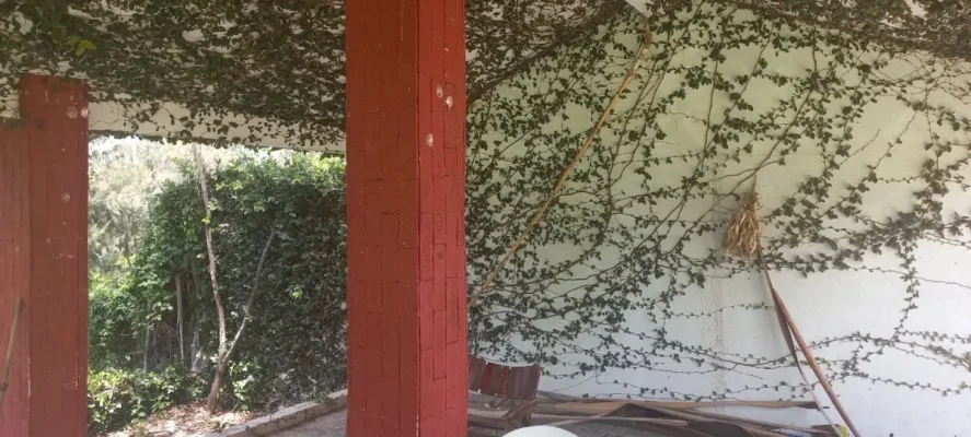 BIENES RAICES EN OAXACA