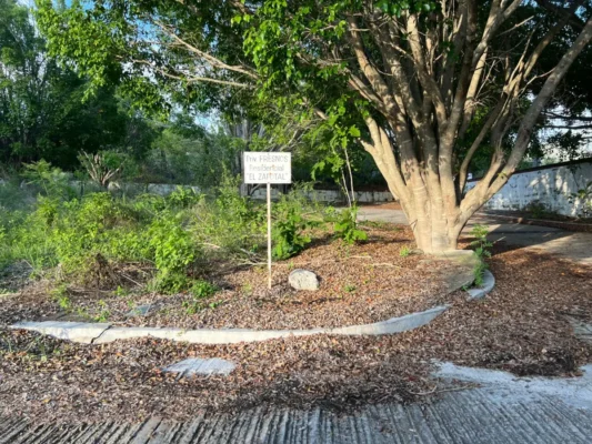 BIENES RAICES EN OAXACA