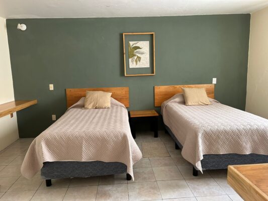 OAXACA DOWNTOWN RENTALS