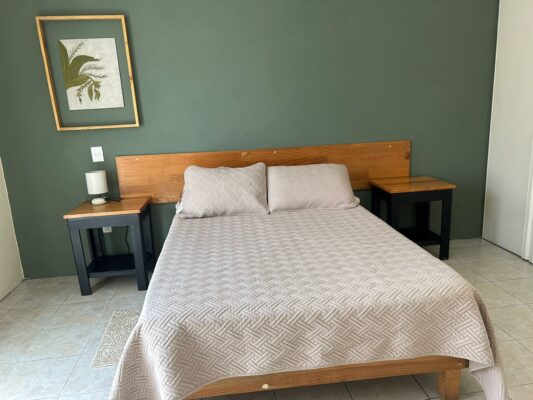APARTMENT FOR RENT IN OAXACA CITY