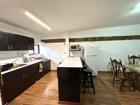 OAXACA CITY CENTER APARTMENT FOR RENT