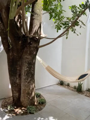 HOUSE FOR RENT IN OAXACA