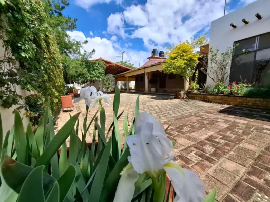 SPACIOUS HOUSE FOR RENT IN OAXACA