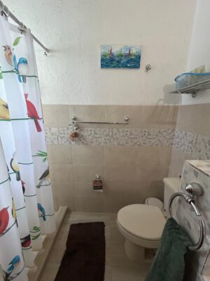 OAXACA REAL ESTATE