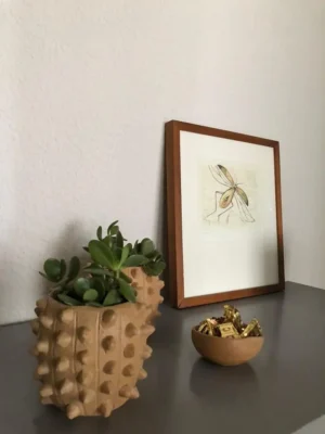 APARTMENT FOR RENT IN OAXACA CENTRO