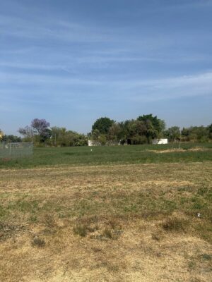 lotes en venta en tlalixtac oaxaca