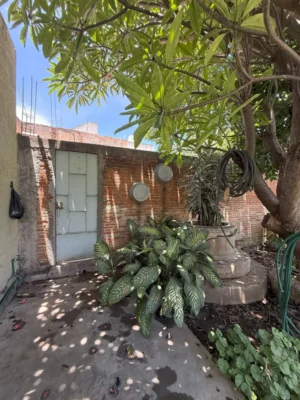 silmexico oaxaca real estate