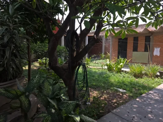 silmexico oaxaca real estate