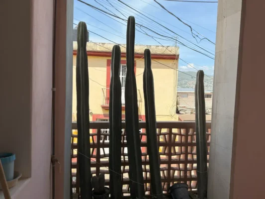 APARTMENT FOR RENT CLOSE TO OAXACA DOWNTOWN