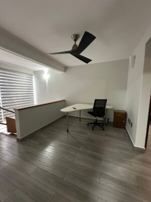 house for rent in oaxaca center