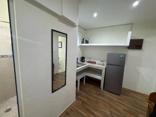 central LOFT for Rent in Oaxaca