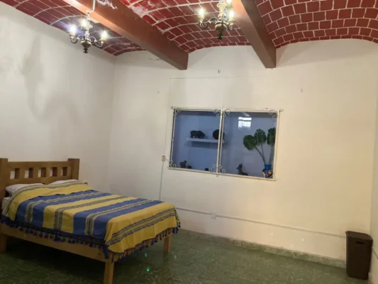 Cozy apartment for rent in Oaxaca