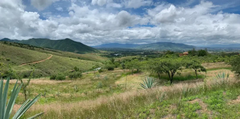 land for sale in Oaxaca